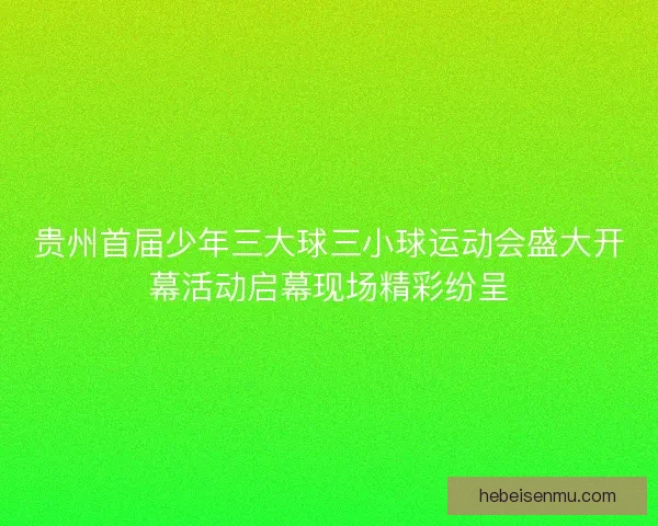 贵州首届少年三大球三小球运动会盛大开幕活动启幕现场精彩纷呈