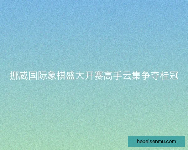 挪威国际象棋盛大开赛高手云集争夺桂冠