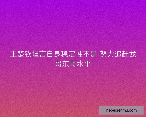 王楚钦坦言自身稳定性不足 努力追赶龙哥东哥水平