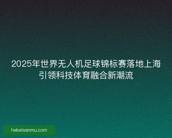 2025年世界无人机足球锦标赛落地上海引领科技体育融合新潮流 2025年世界无人机足球锦标赛落地上海引领科技体育融合新潮流