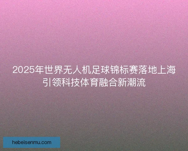 2025年世界无人机足球锦标赛落地上海引领科技体育融合新潮流