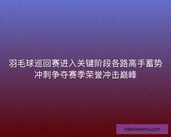 羽毛球巡回赛进入关键阶段各路高手蓄势冲刺争夺赛季荣誉冲击巅峰 羽毛球巡回赛进入关键阶段各路高手蓄势冲刺争夺赛季荣誉冲击巅峰