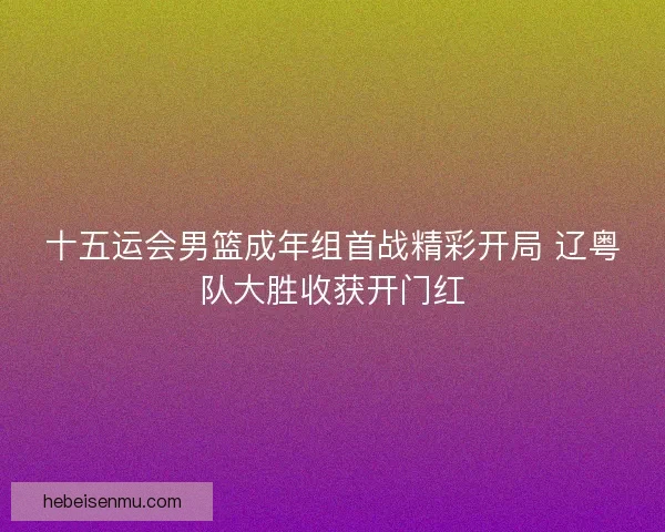 十五运会男篮成年组首战精彩开局 辽粤队大胜收获开门红